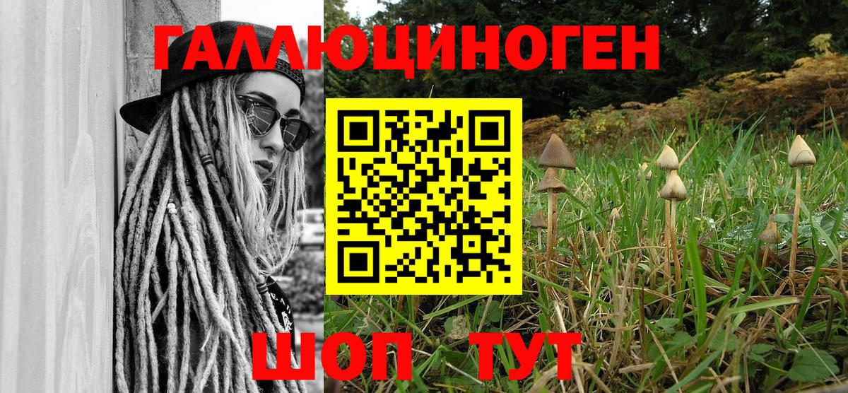 Псилоцибиновые грибы Cubensis Менделеевск