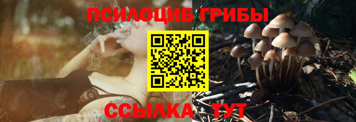 Менделеевск  Псилоцибиновые грибы прущие грибы  Вход с VPN 